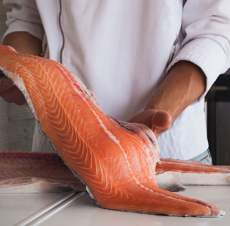 ChitoVelum® PRO for fish